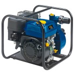 Мотопомпа бензиновая Einhell BWP 32